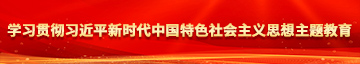 田志欣操逼免费视频学习贯彻习近平新时代中国特色社会主义思想主题教育